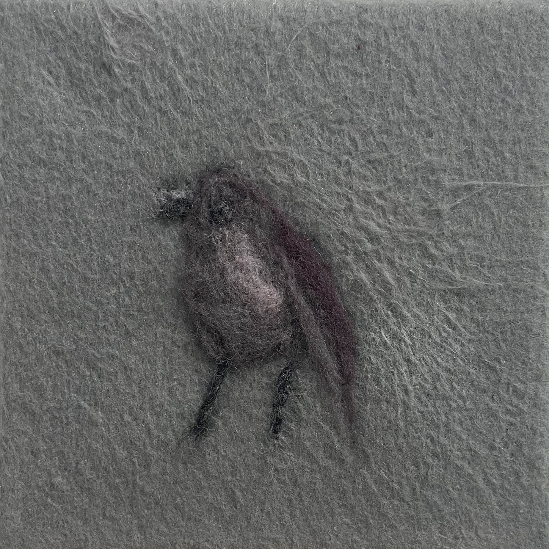 Jen Fiallo-Vallejo - Feathered