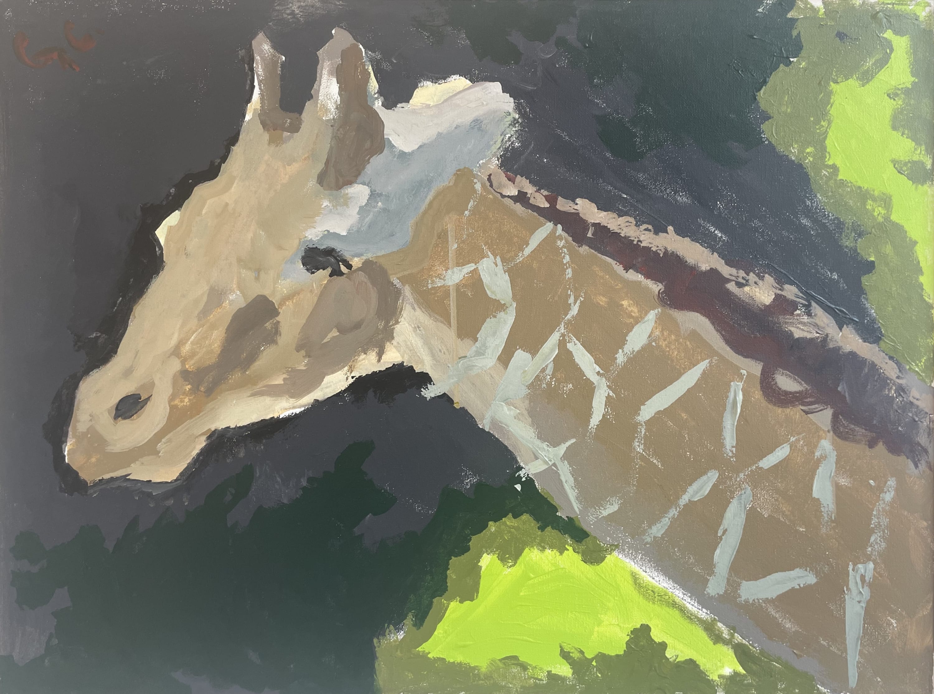 Gillian Colhoun - Giraffe