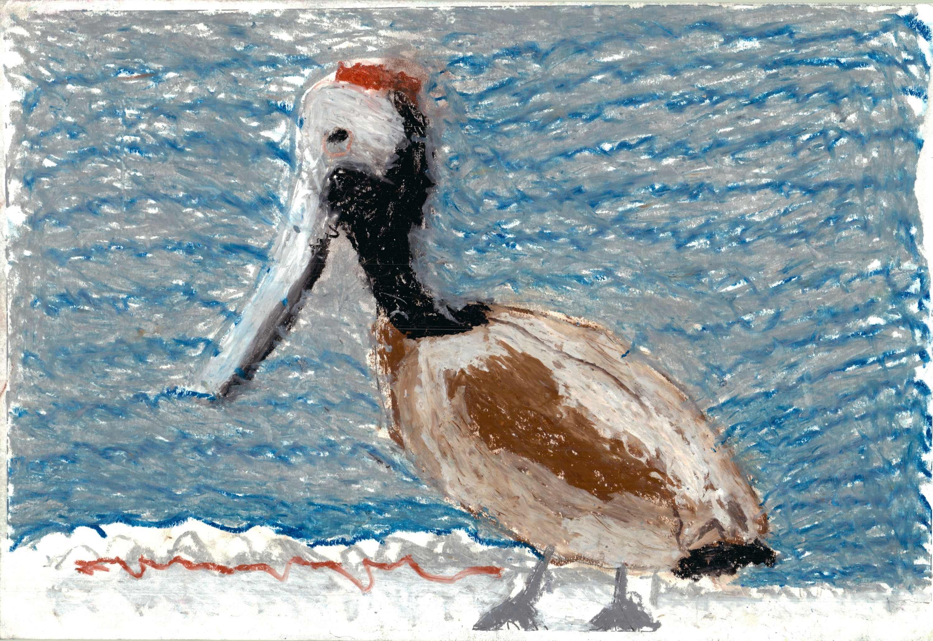 Mickey Daly - Pelican
