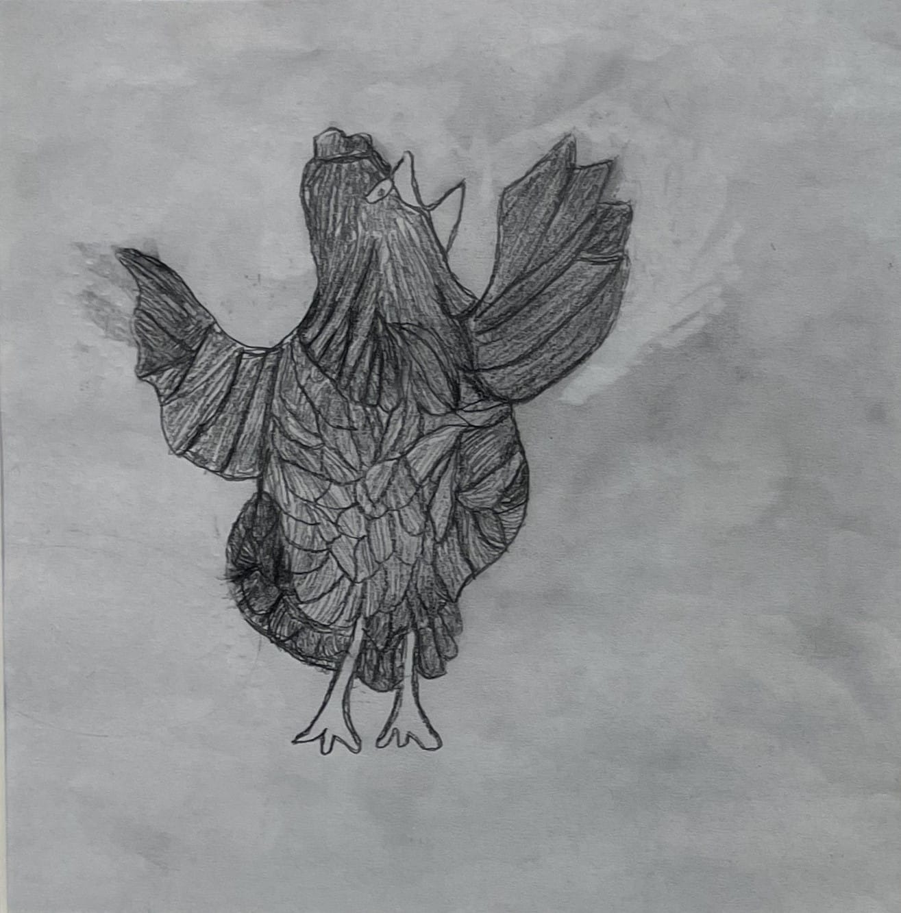 Christina Bevans - Morning Roost