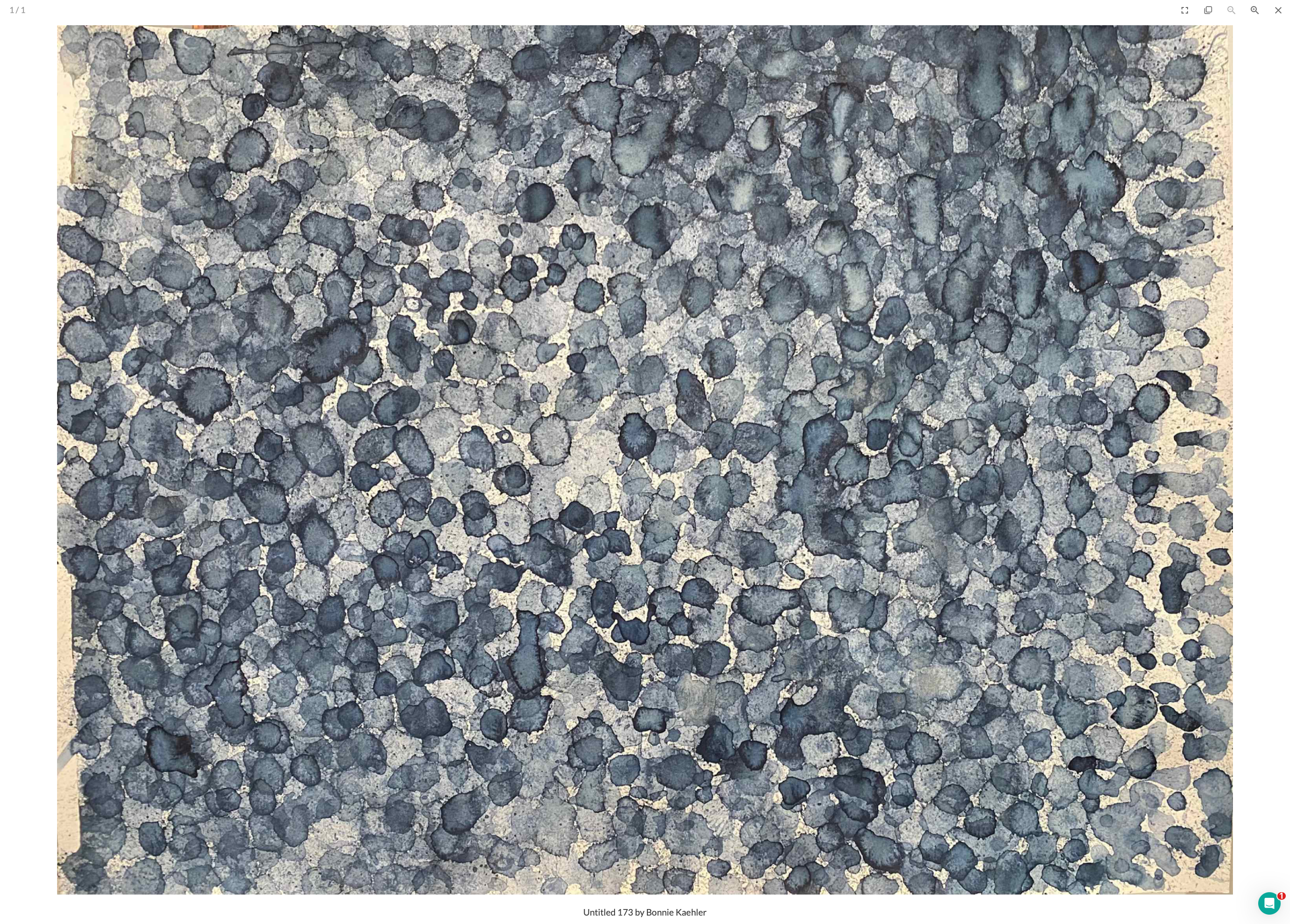 Bonnie Kaehler - Untitled 173