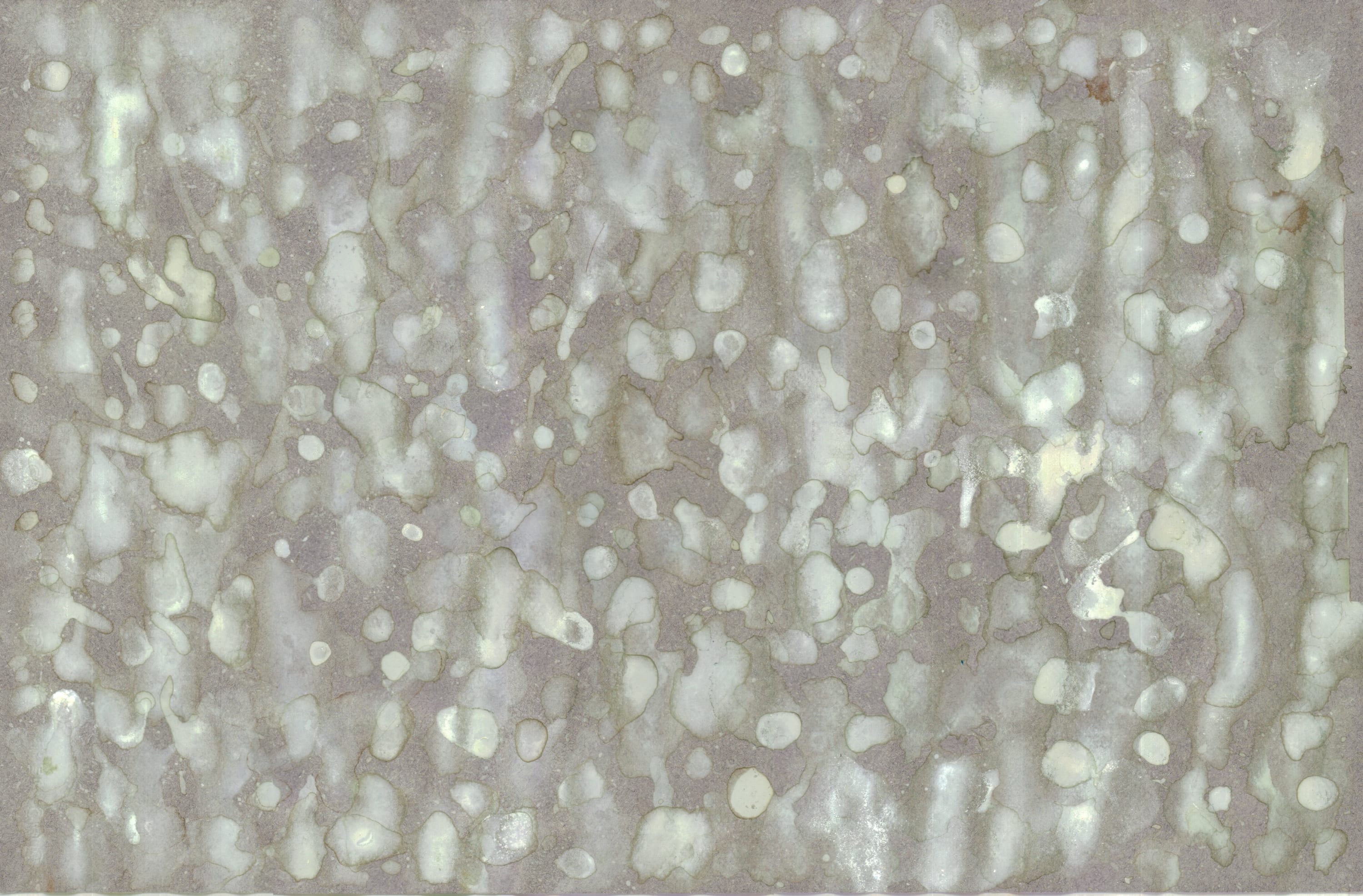 Bonnie Kaehler - Untitled 106