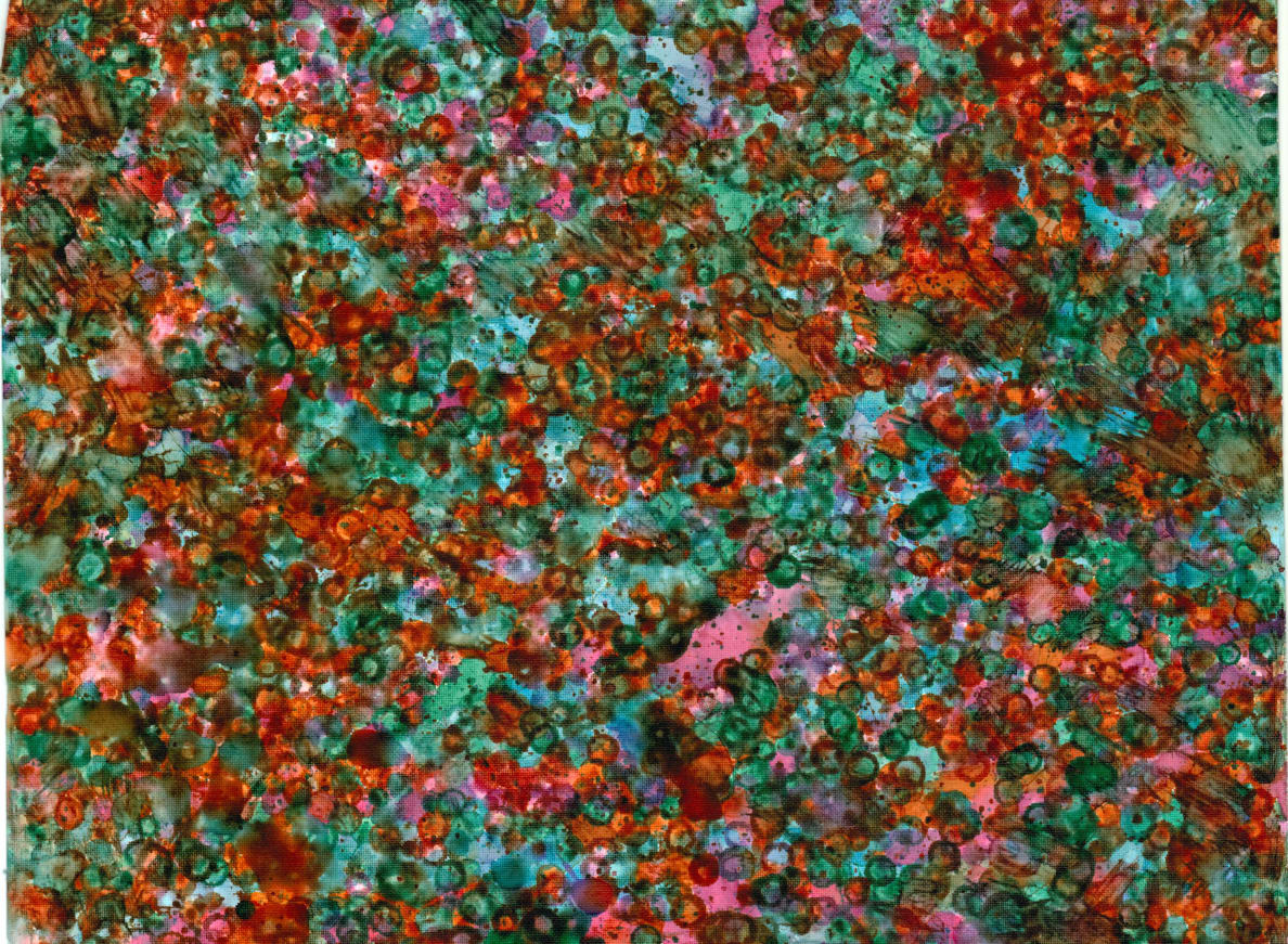 Bonnie Kaehler - Untitled 121