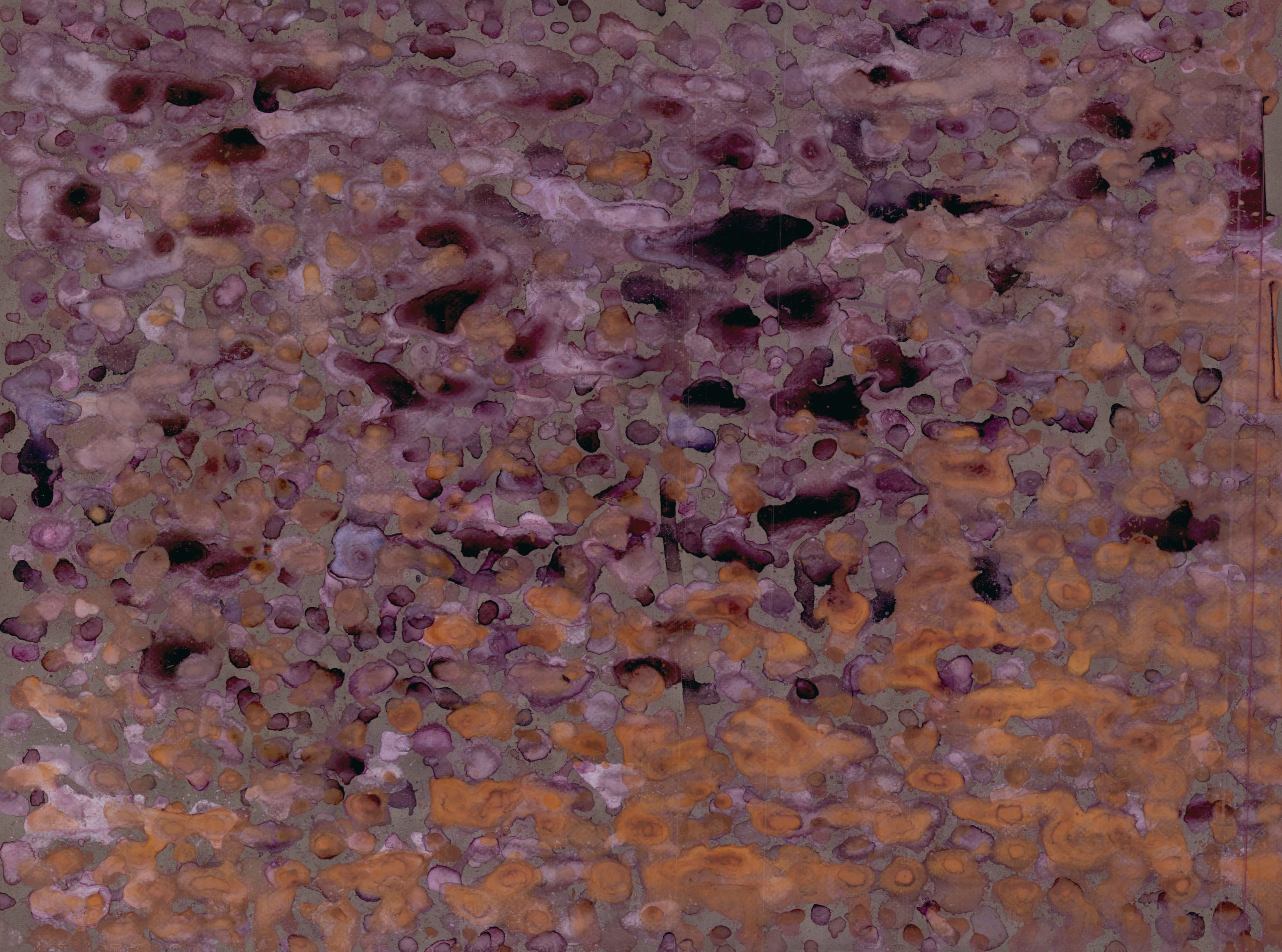 Bonnie Kaehler - Untitled 73