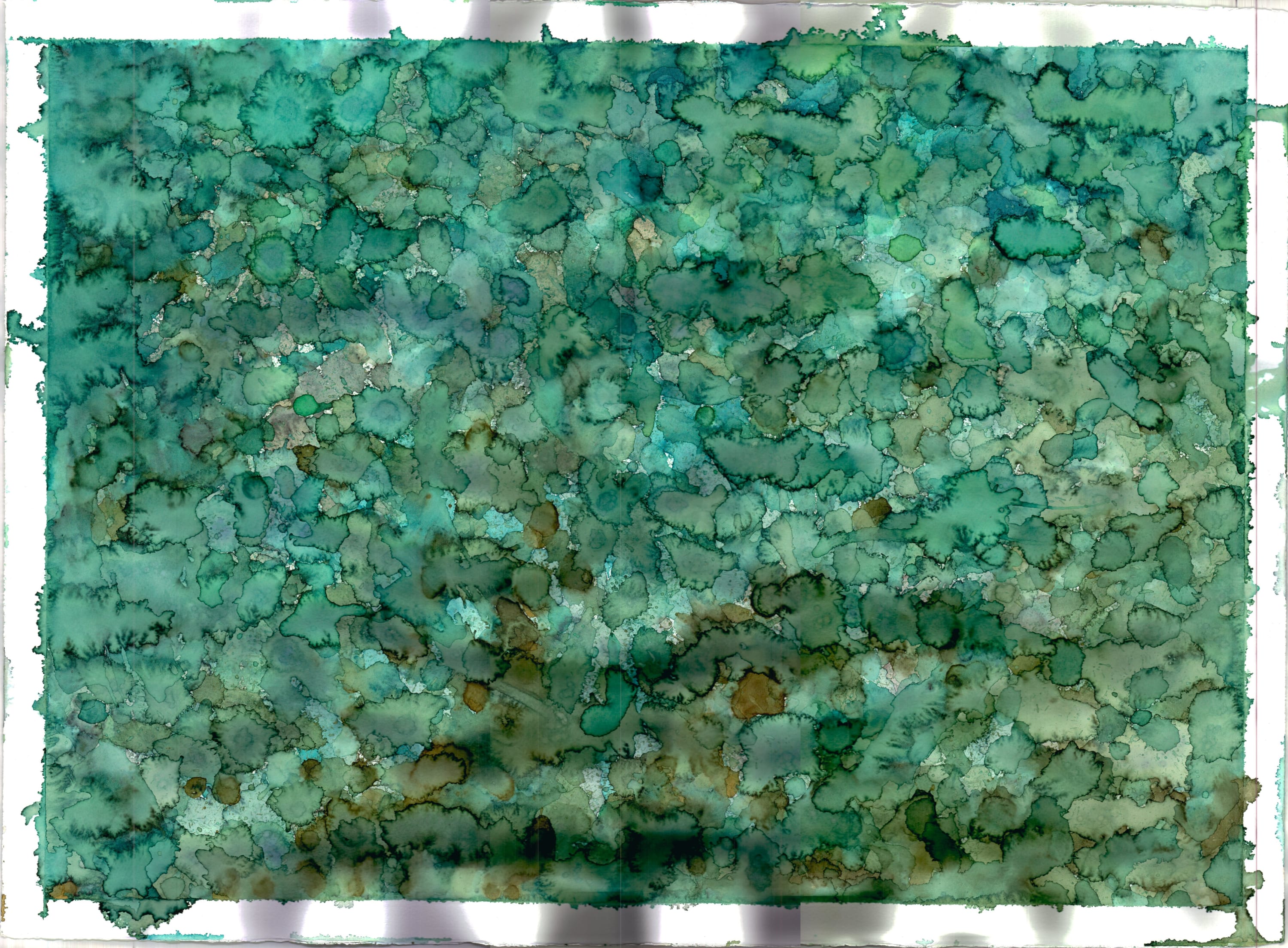 Bonnie Kaehler - Untitled 74