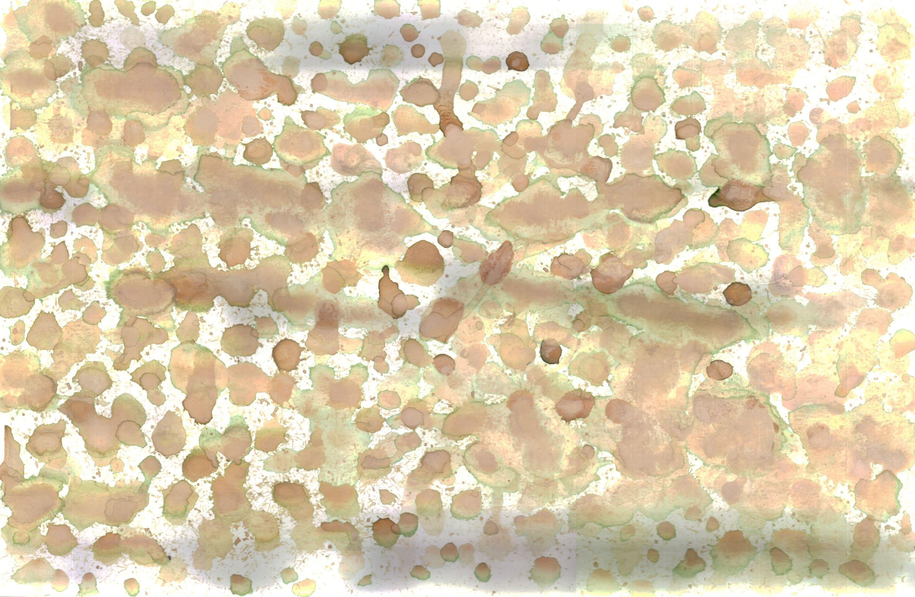 Bonnie Kaehler - Untitled 77