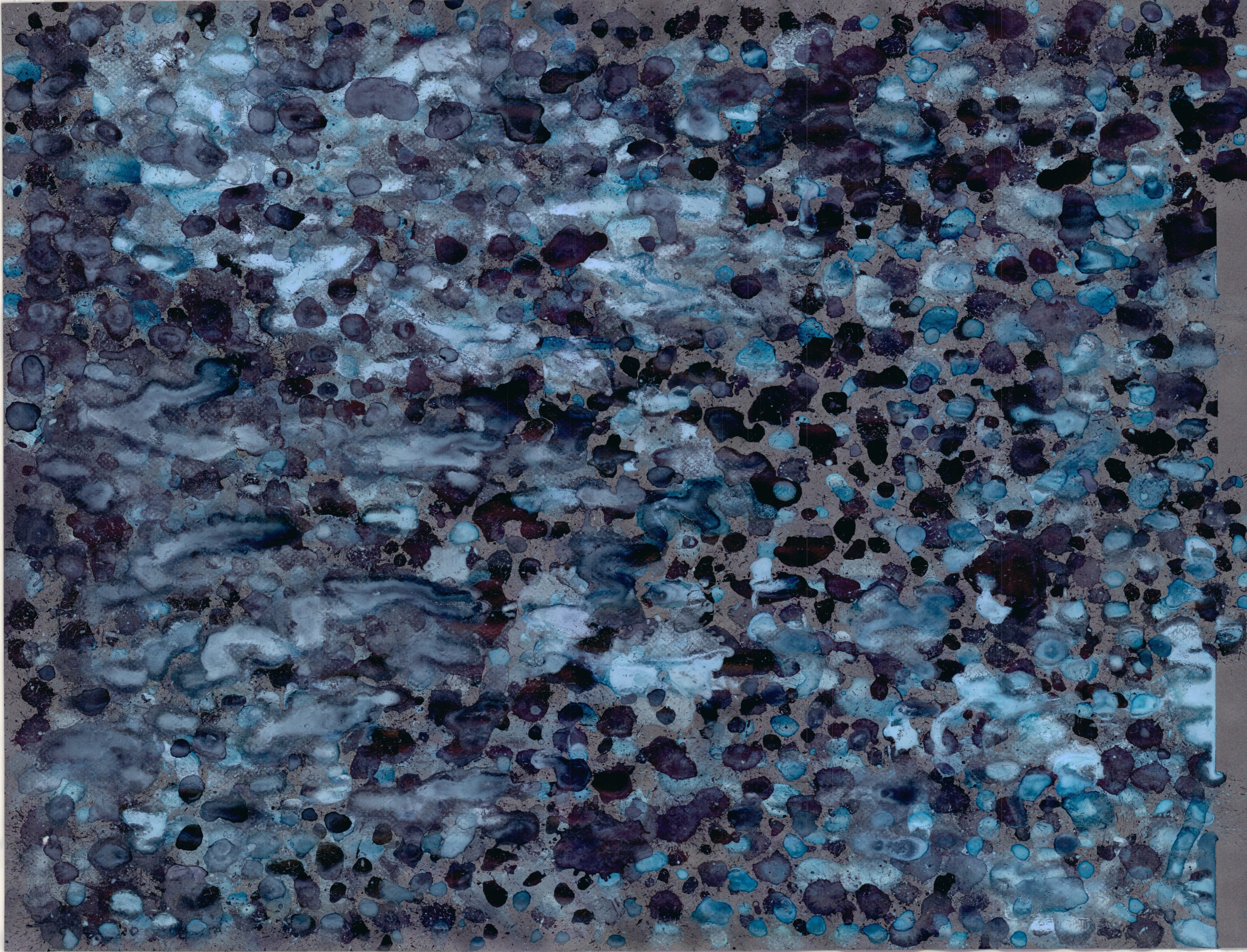 Bonnie Kaehler - Untitled 78