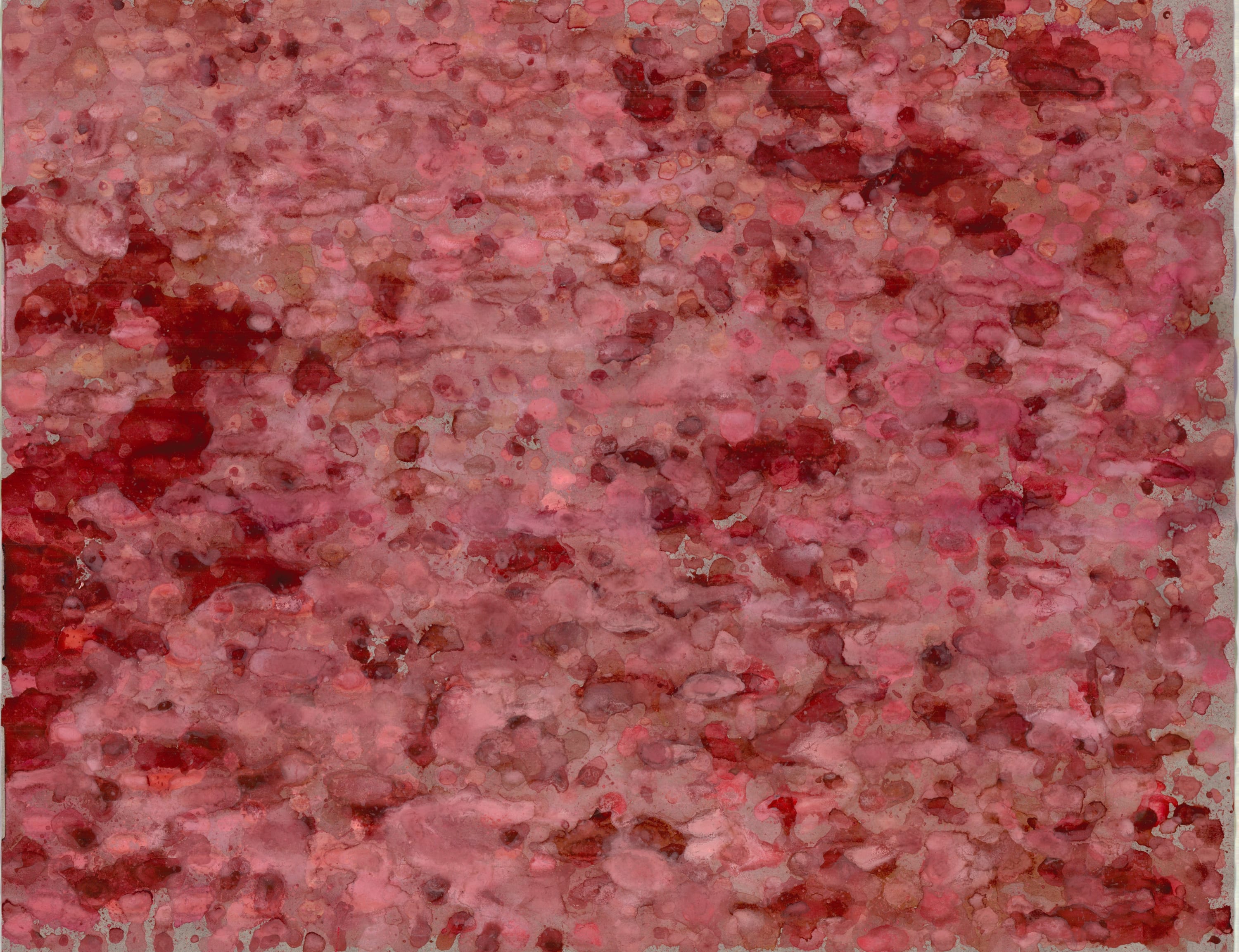 Bonnie Kaehler - Untitled 79