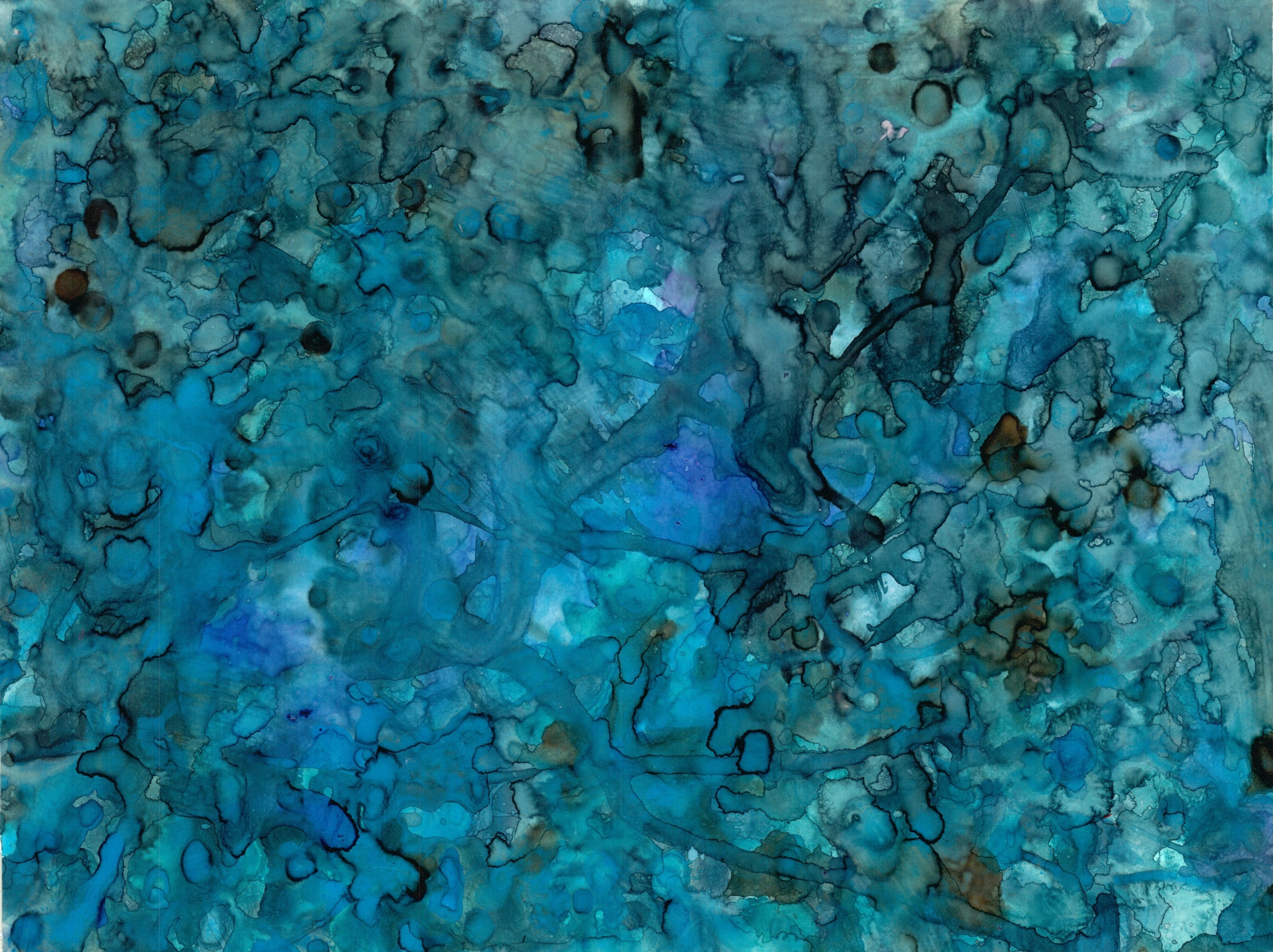 Bonnie Kaehler - Untitled 83