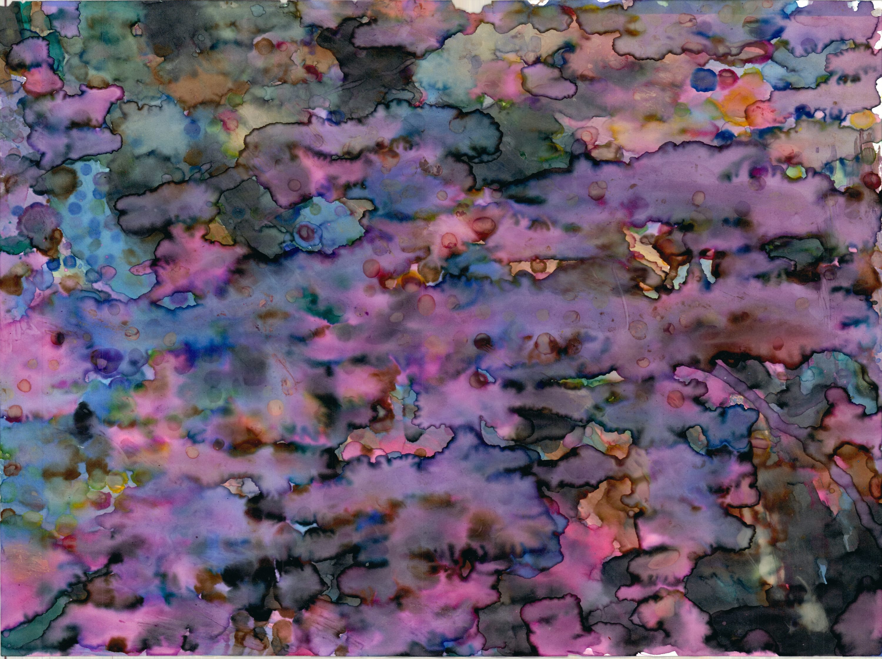 Bonnie Kaehler - Untitled 84