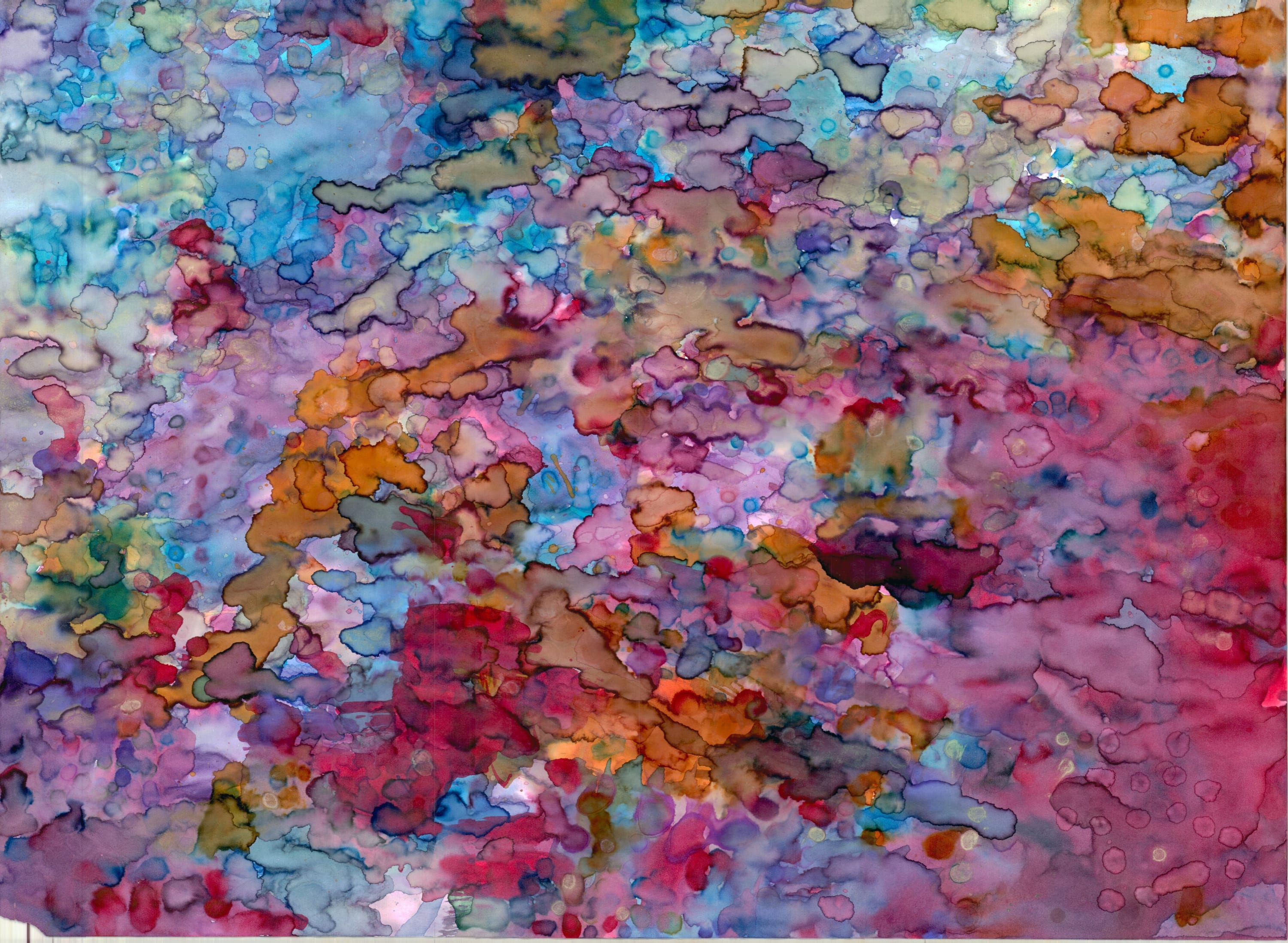 Bonnie Kaehler - Untitled 88