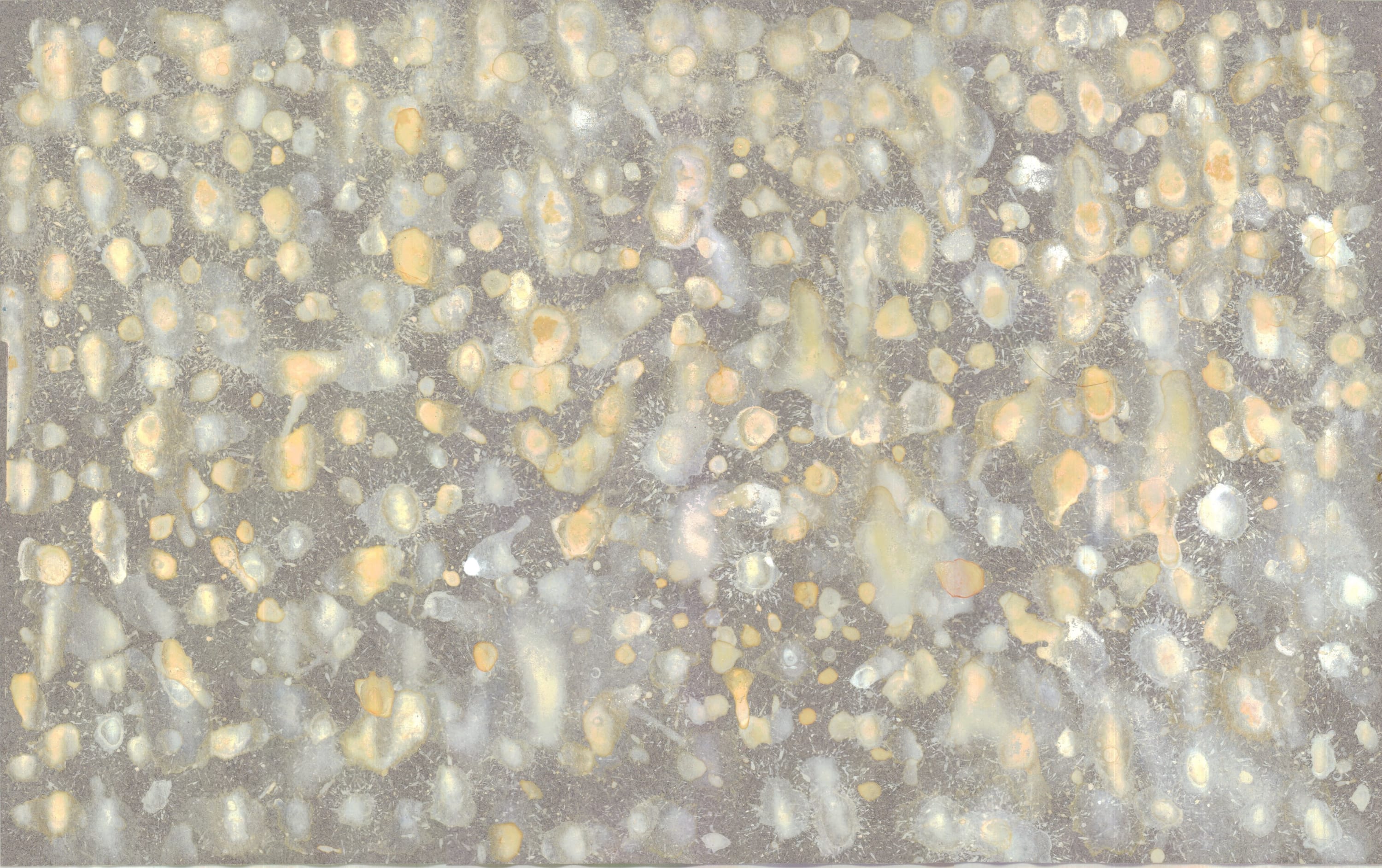 Bonnie Kaehler - Untitled 92