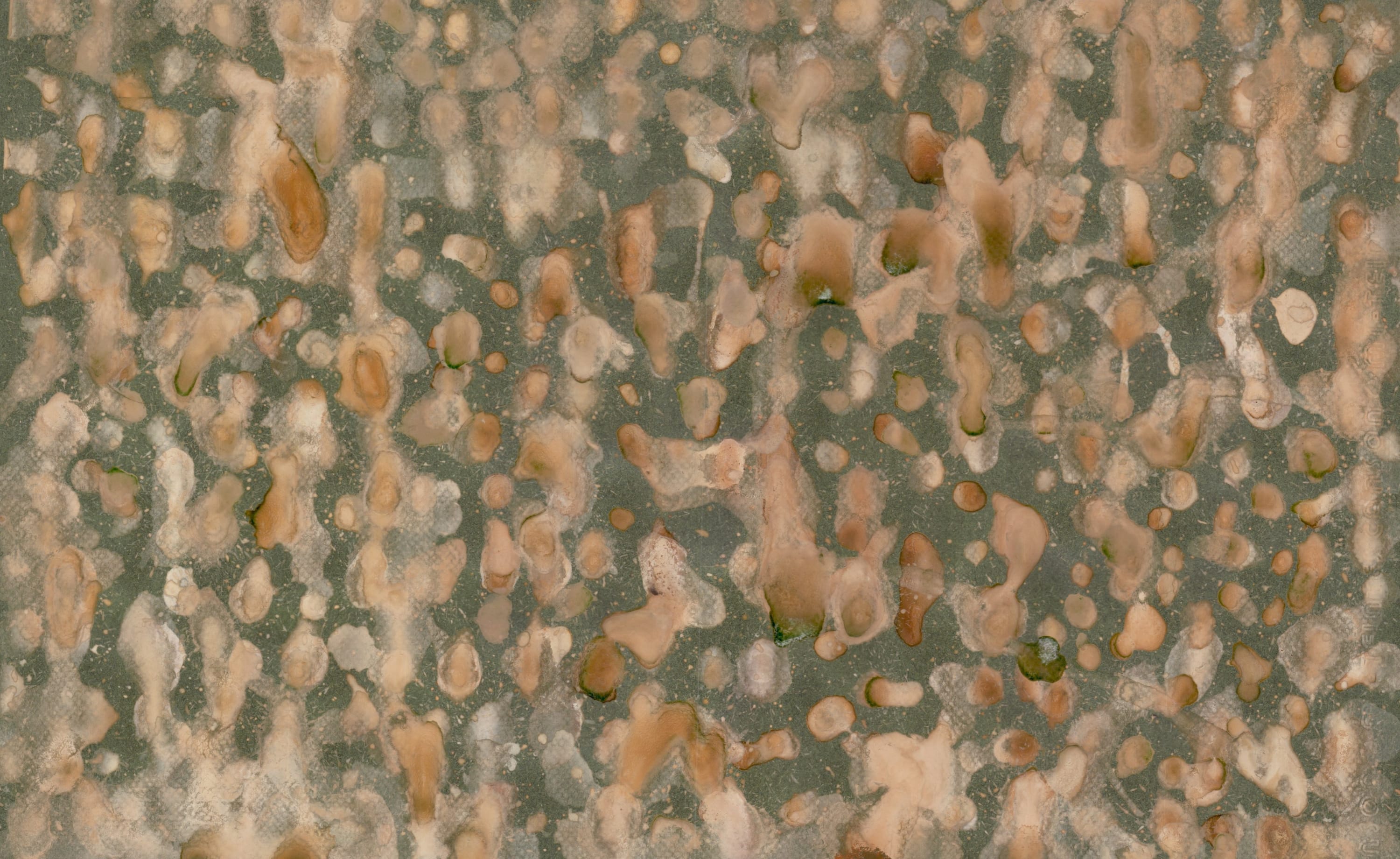 Bonnie Kaehler - Untitled 93