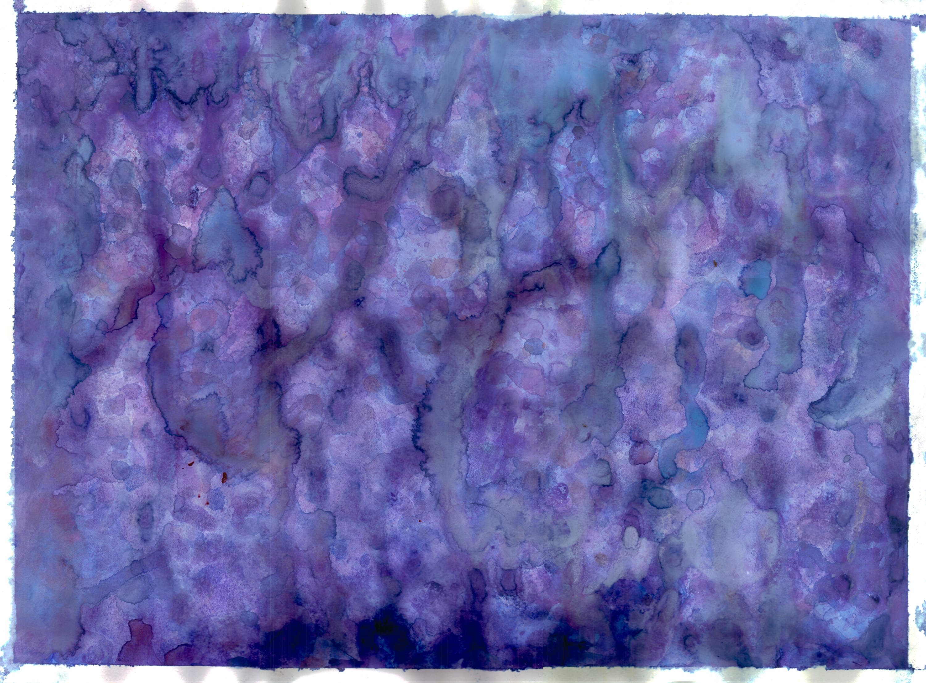 Bonnie Kaehler - Untitled 99