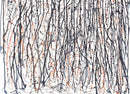 Leonardo Contreras - Gravity Study 10