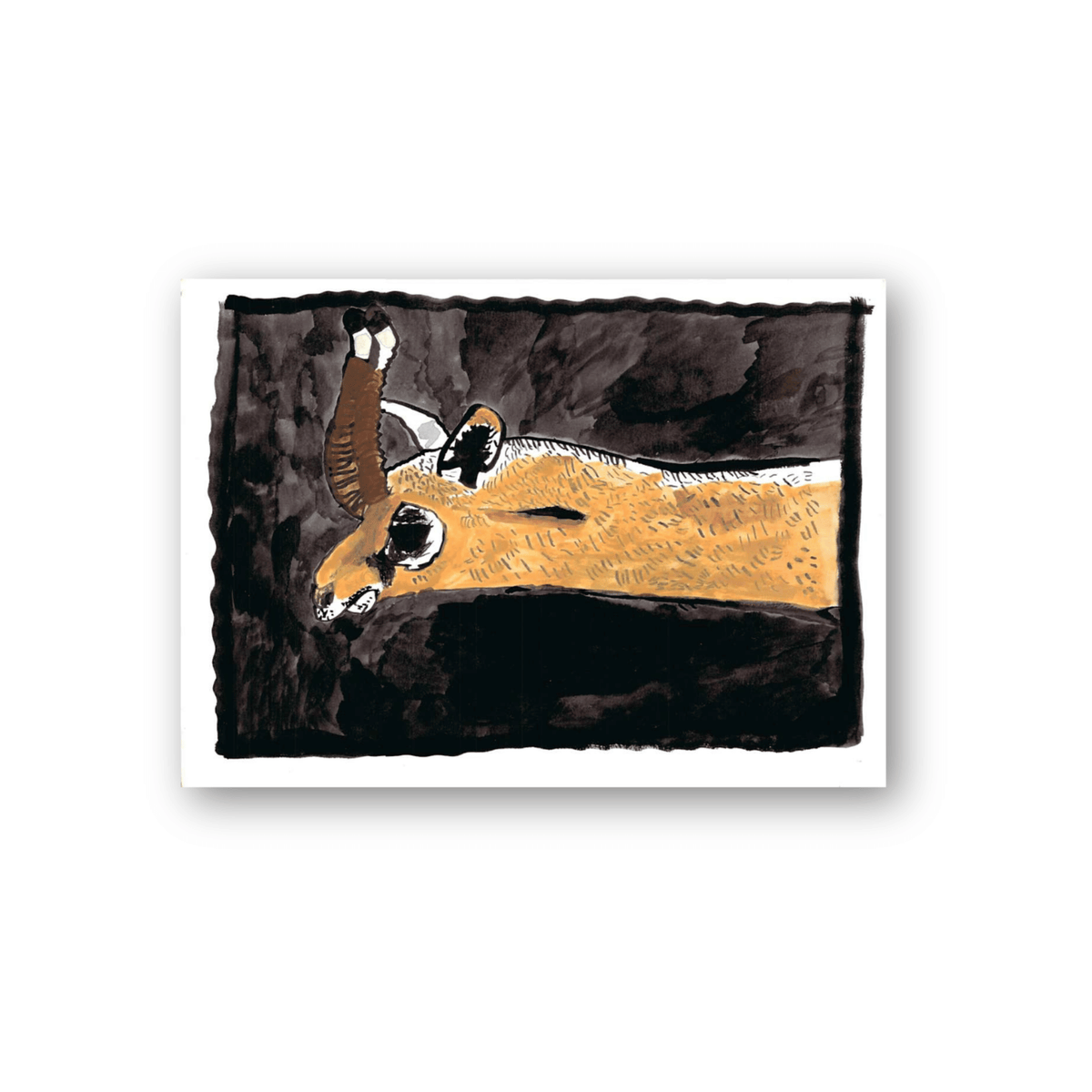Robert Robles- Antelope