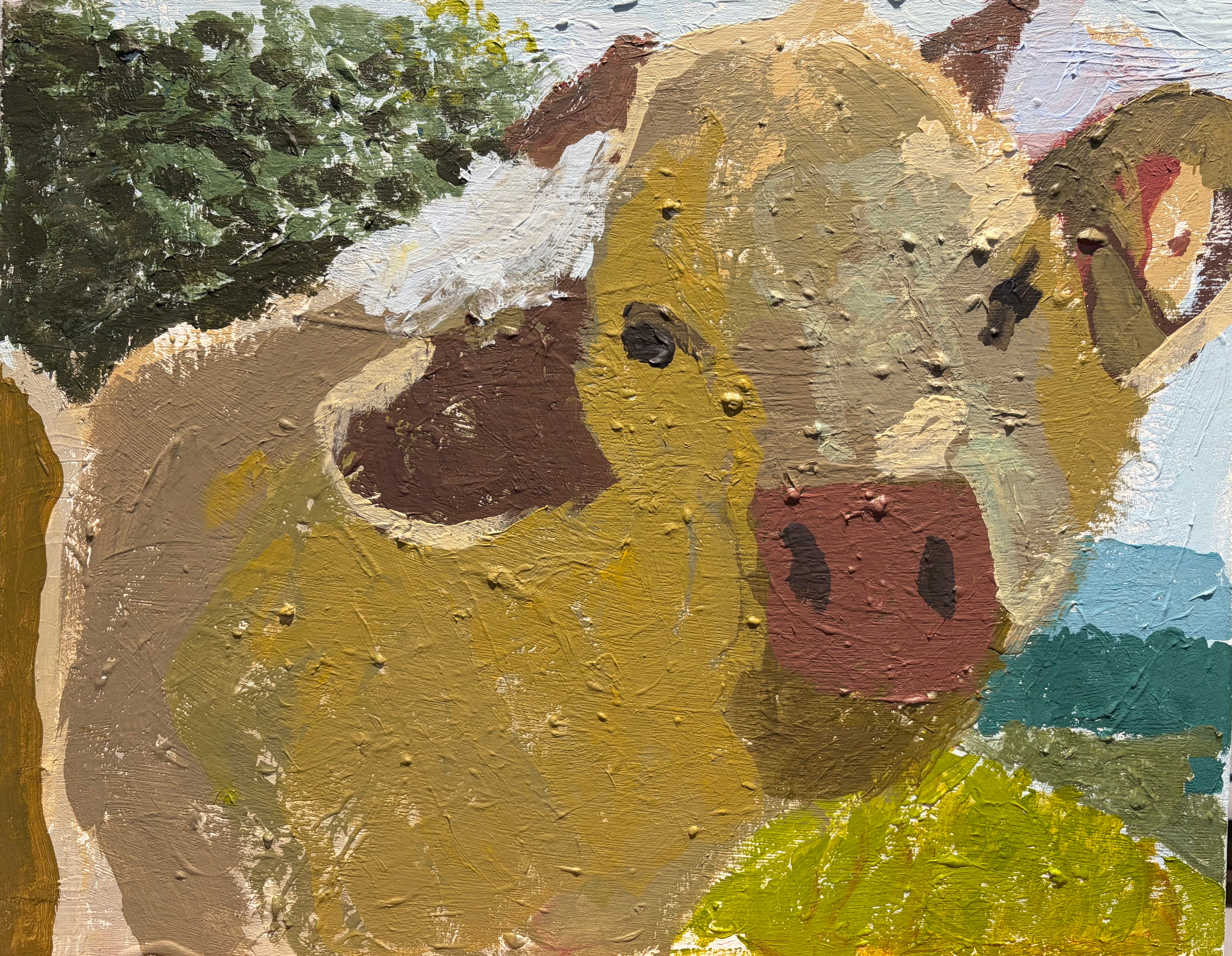 Gillian Colhoun - Cow
