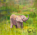 Gillian Colhoun - Elephant