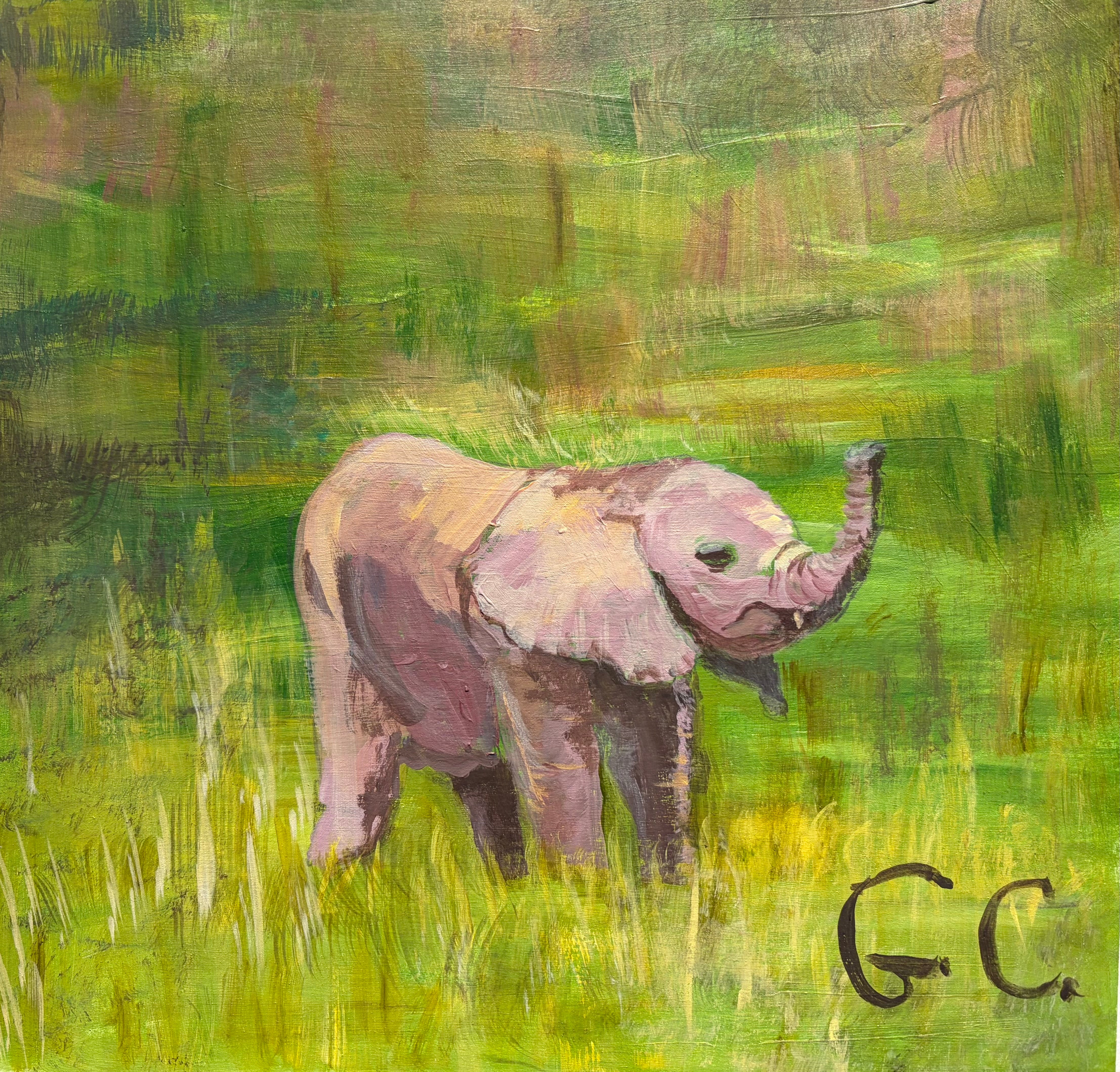 Gillian Colhoun - Elephant
