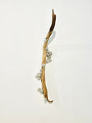 MDAC Collaboration, Remnant