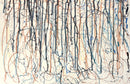 Leonardo Contreras - Gravity Study 1