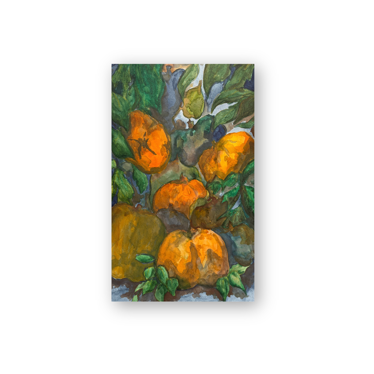 Johanna Vecchione - Harvest
