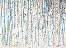 Leonardo Contreras - Gravity Study 5