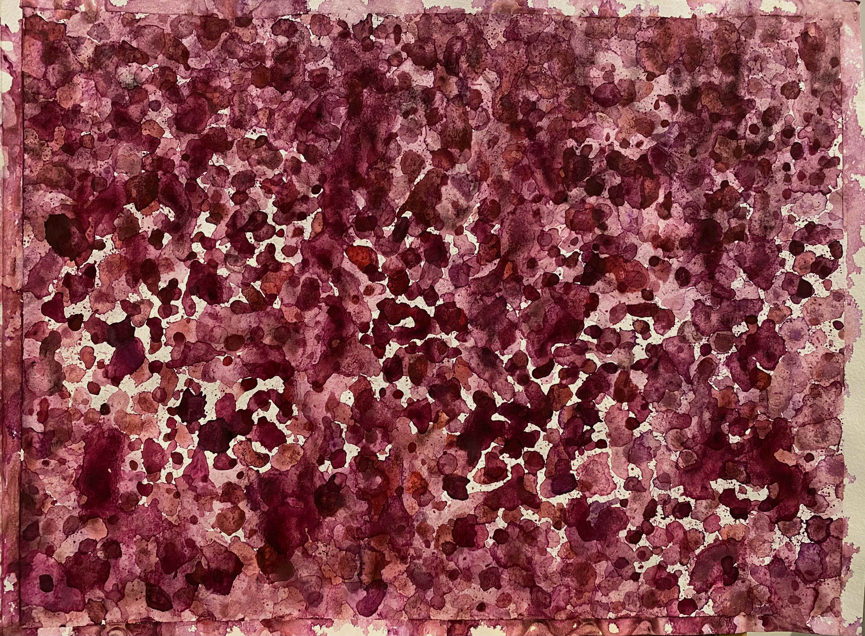 Bonnie Kaehler - Untitled 180