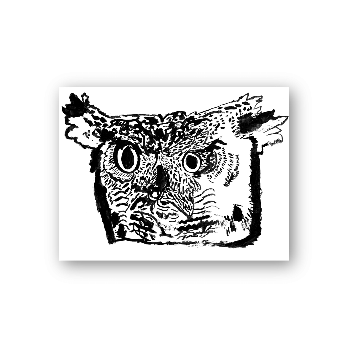 Robert Robles- Owl