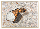 Cloresa Francoeur - A World Within Reach