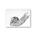 Robert Robles- Snail