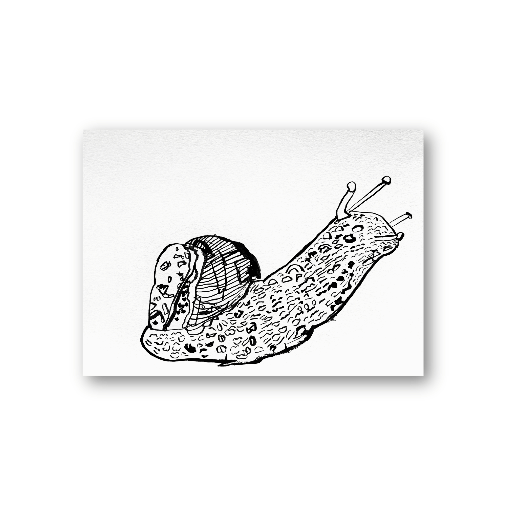 Robert Robles- Snail