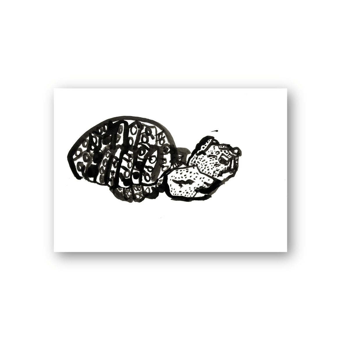 Robert Robles- Turtle