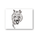 Robert Robles- Wolf
