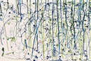 Leonardo Contreras - Gravity Study 3