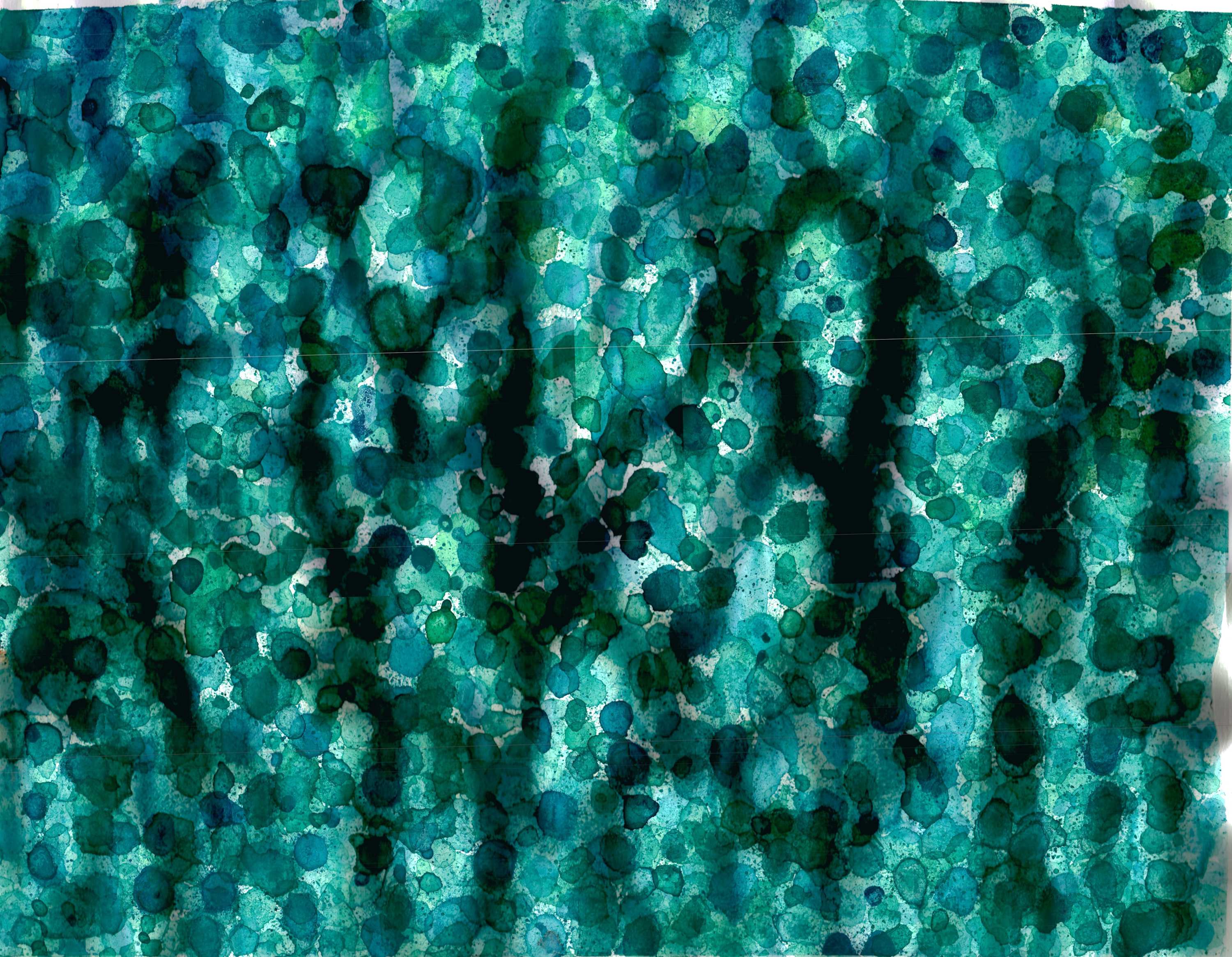 Bonnie Kaehler - Untitled 166